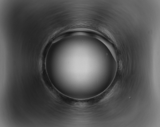 X0000093260444200710031607