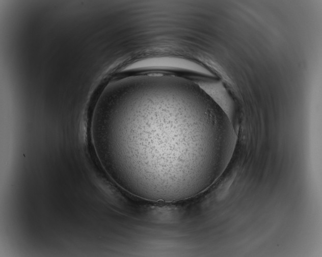 X0000093260446200710031607