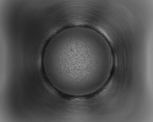 X0000093260447200710031607