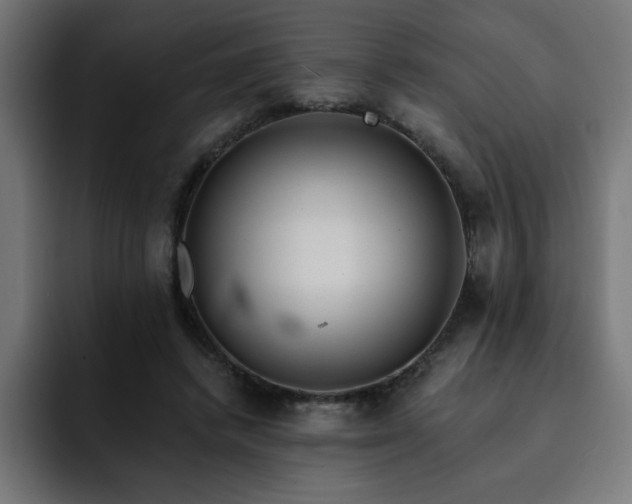 X0000093260448200710031607