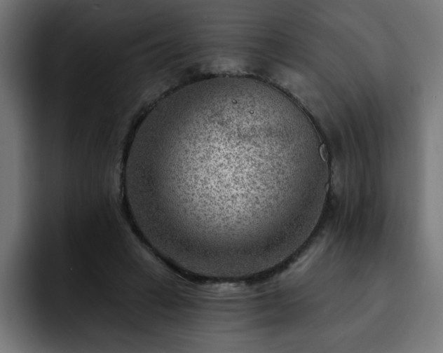 X0000093260449200710031607