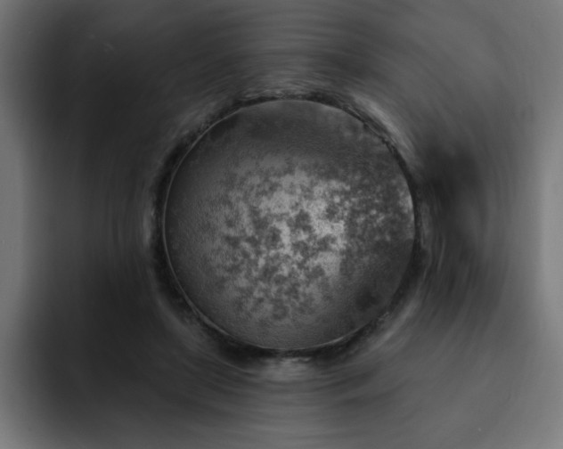 X0000093260451200710031607