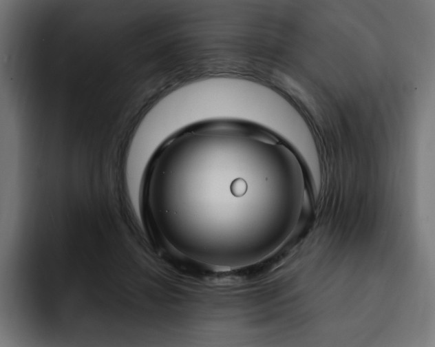 X0000093260452200710031607