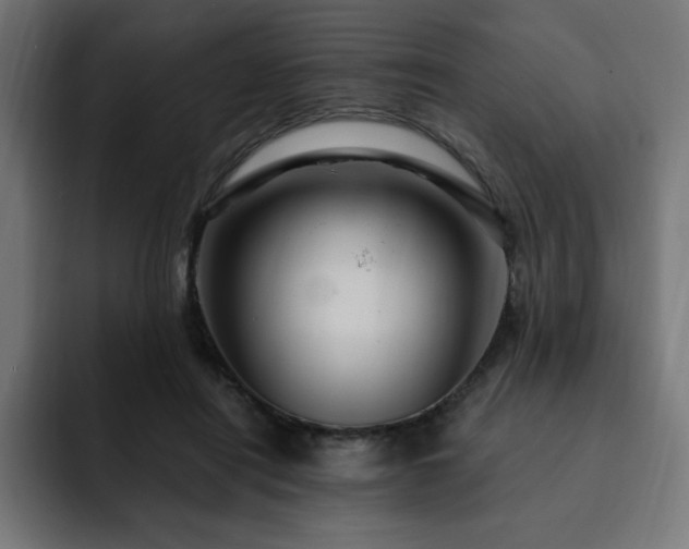 X0000093260454200710031607