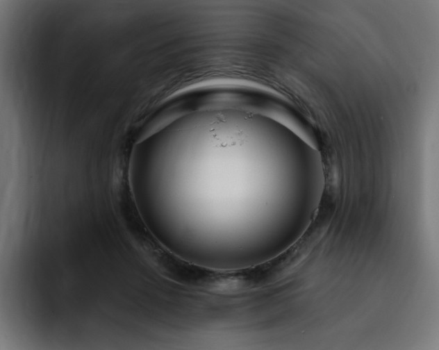 X0000093260456200710031607