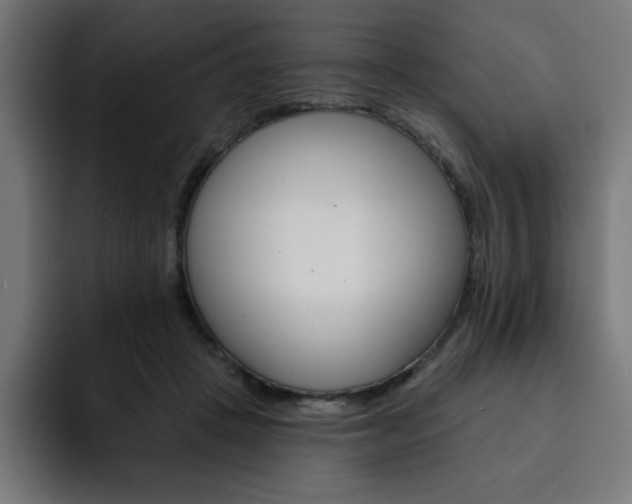 X0000093260457200710031607