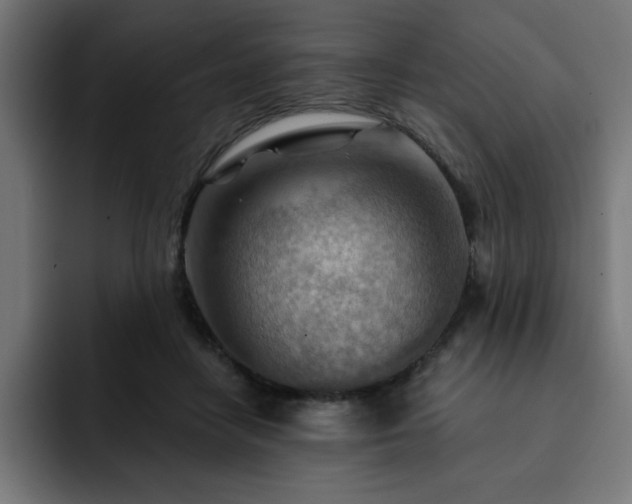 X0000093260458200710031607