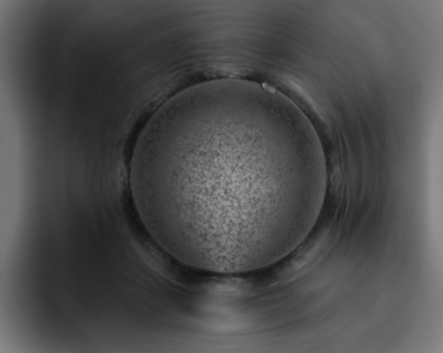 X0000093260459200710031607