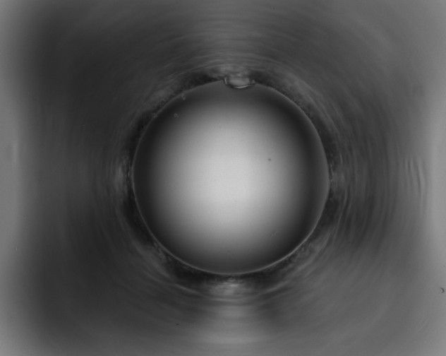 X0000093260460200710031607