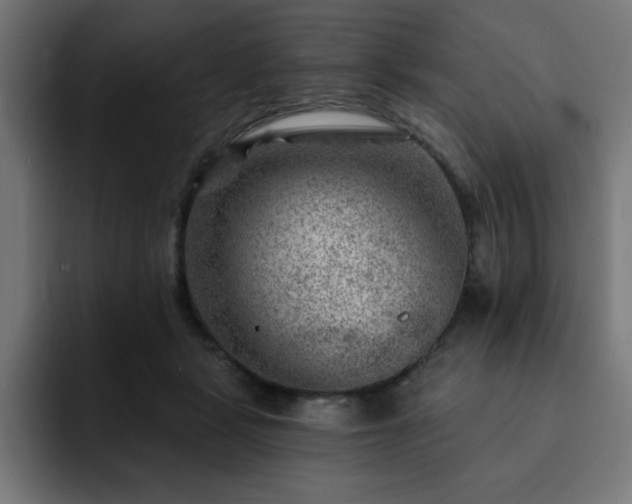 X0000093260461200710031607