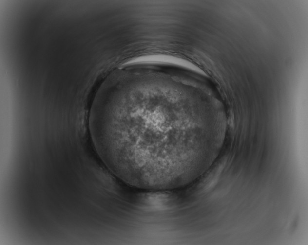 X0000093260462200710031607