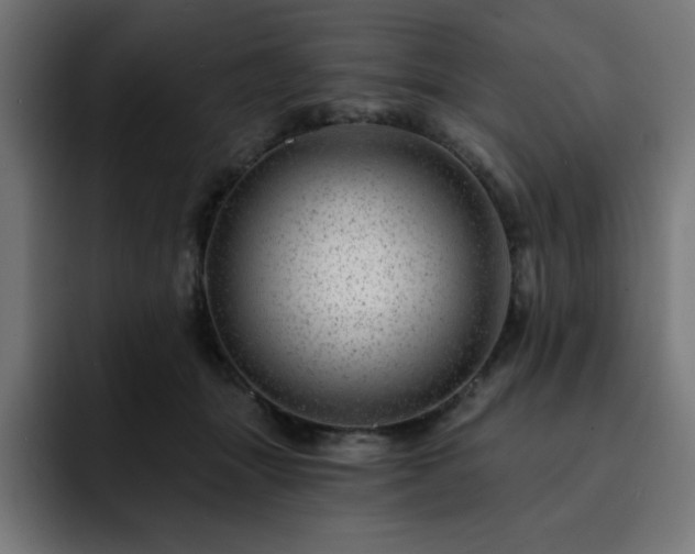 X0000093260463200710031607