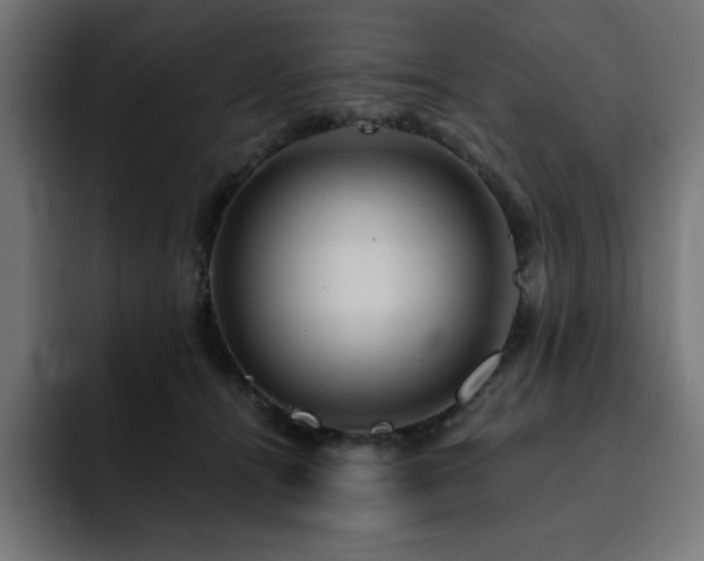 X0000093260464200710031607