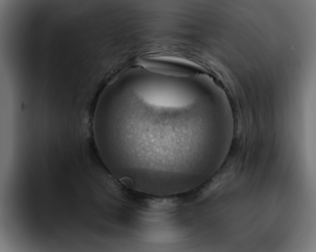 X0000093260465200710031607