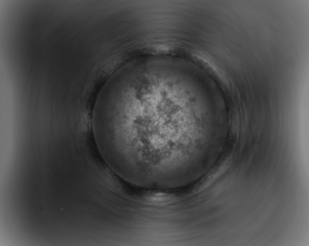 X0000093260467200710031607