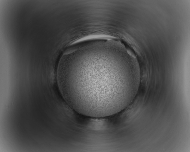 X0000093260469200710031607