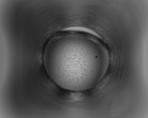 X0000093260470200710031607