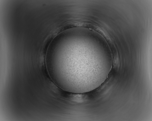 X0000093260473200710031607