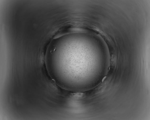 X0000093260474200710031607