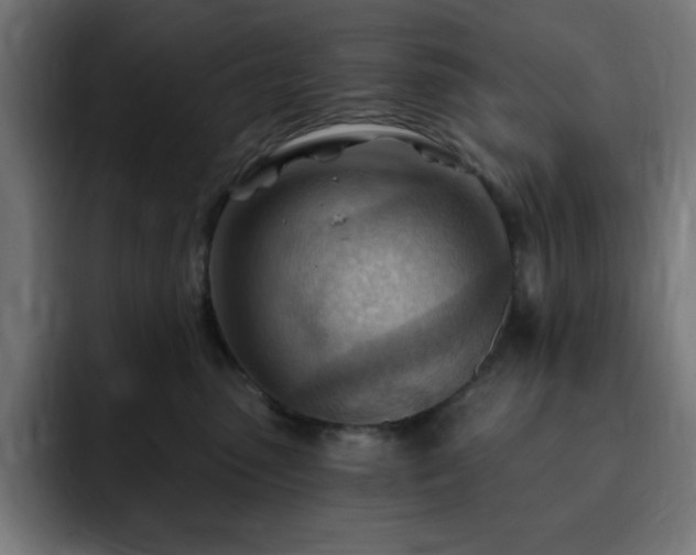 X0000093260475200710031607