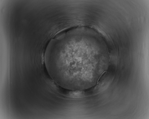 X0000093260479200710031607