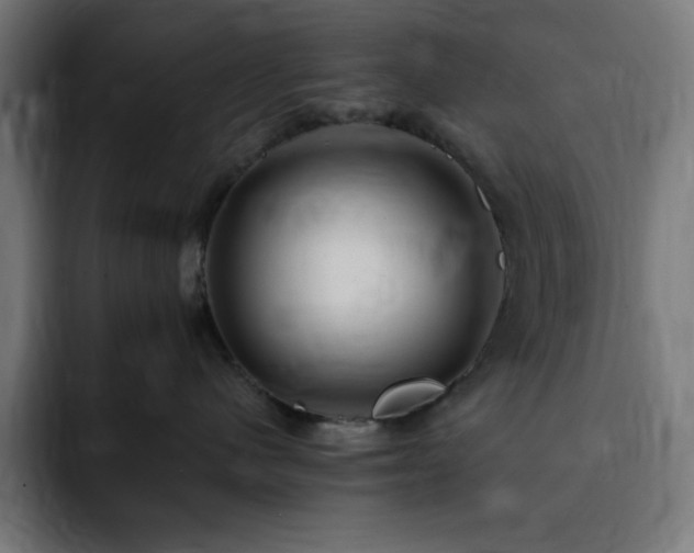 X0000093260480200710031607