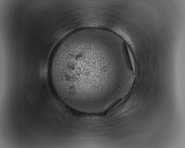 X0000093260483200710031606