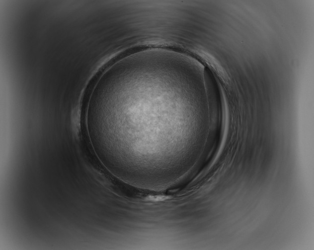 X0000093260484200710031606