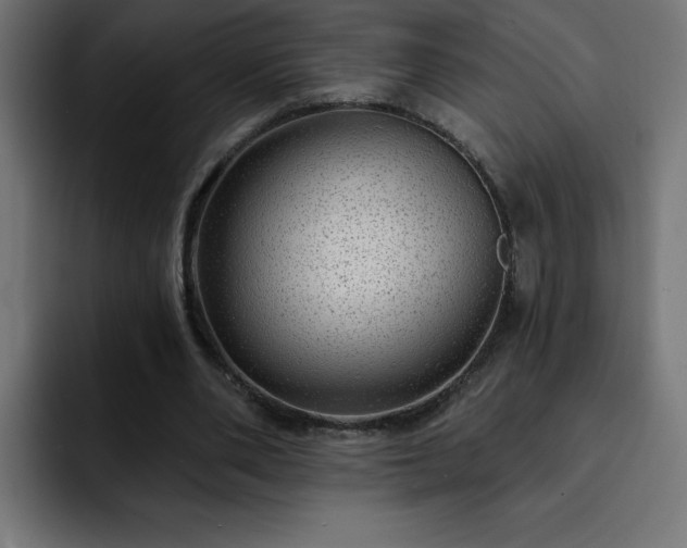 X0000093260486200710031606