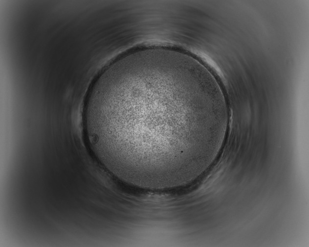 X0000093260487200710031606