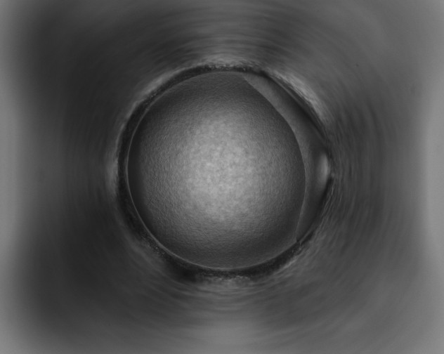 X0000093260488200710031606