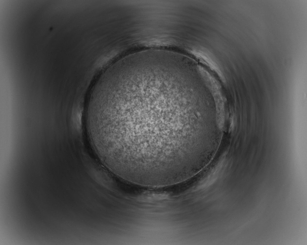 X0000093260491200710031606