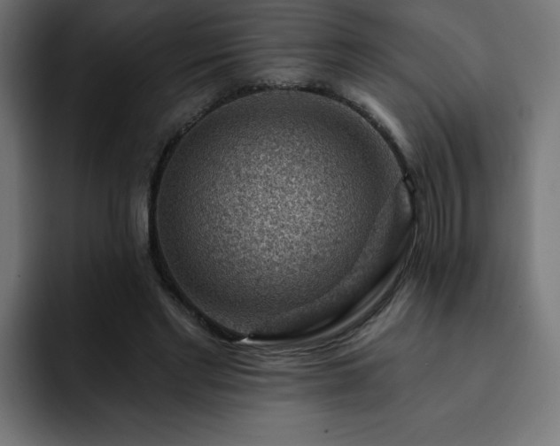 X0000093260493200710031606