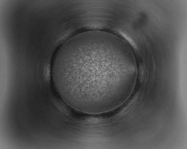 X0000093260494200710031606