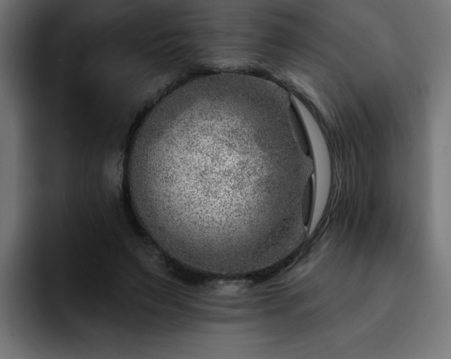 X0000093260495200710031606