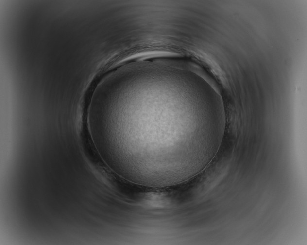 X0000093260496200710031606