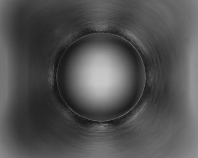 X0000093260497200710031606