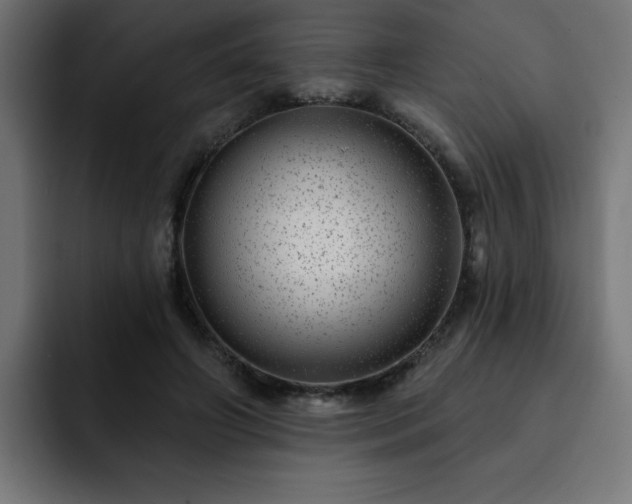 X0000093260498200710031606