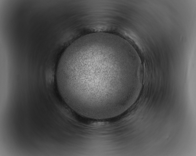 X0000093260499200710031606