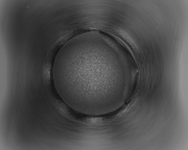 X0000093260501200710031606