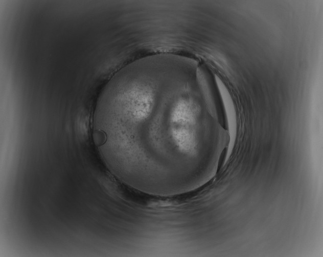 X0000093260503200710031606