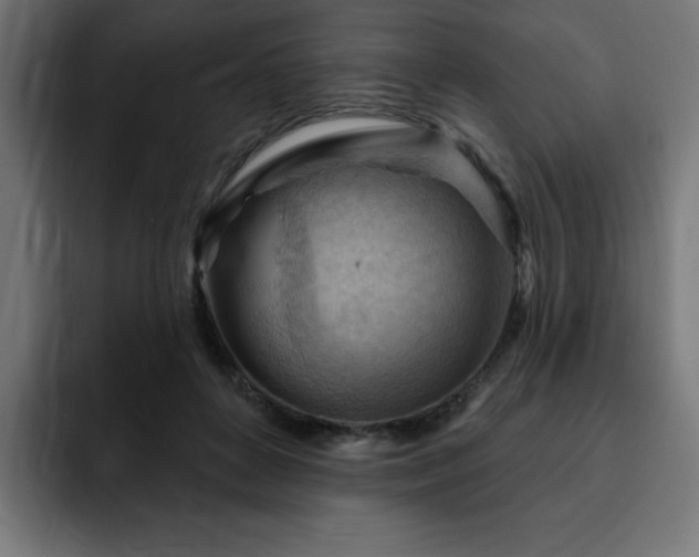 X0000093260504200710031606