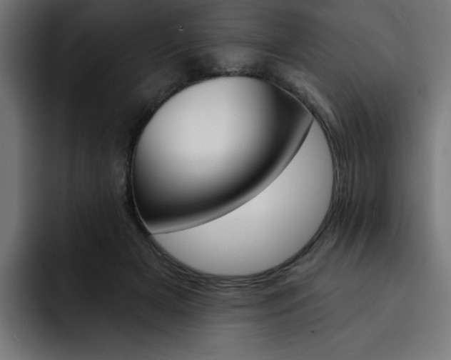 X0000093260505200710031606