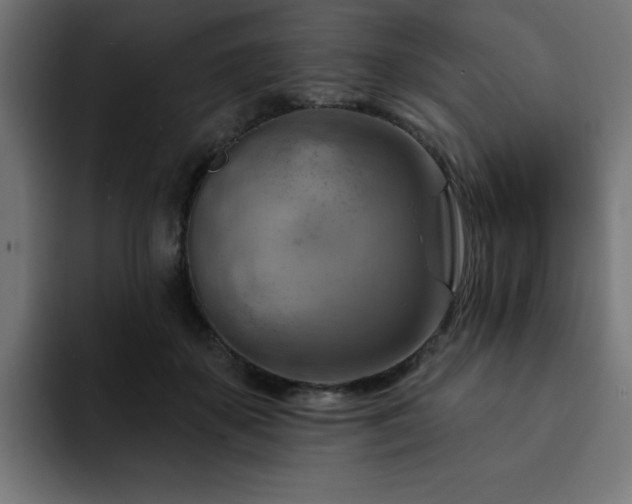 X0000093260507200710031606