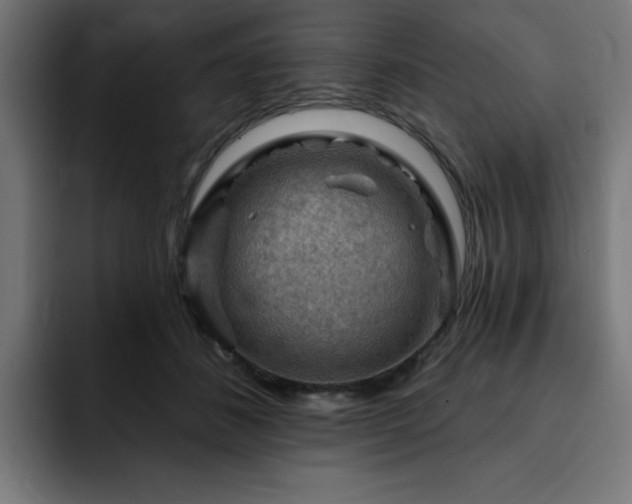 X0000093260508200710031606