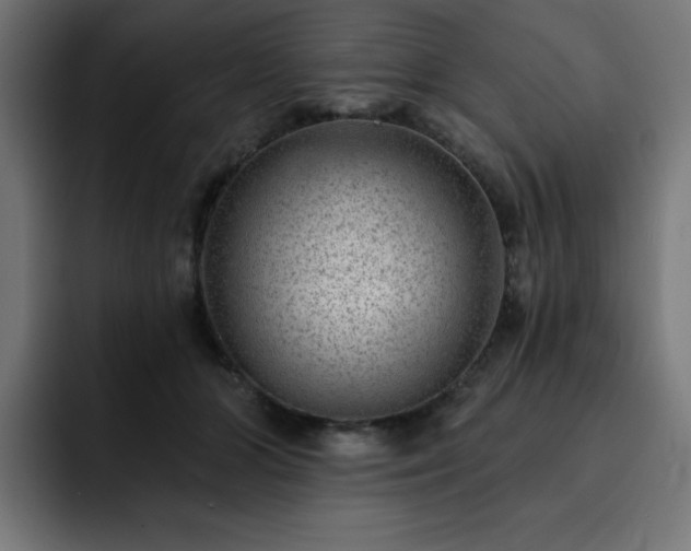 X0000093260510200710031606