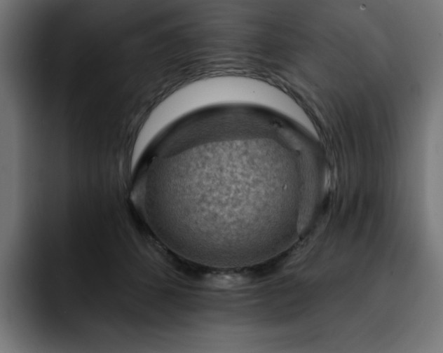 X0000093260512200710031606