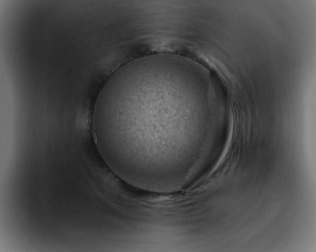 X0000093260513200710031606