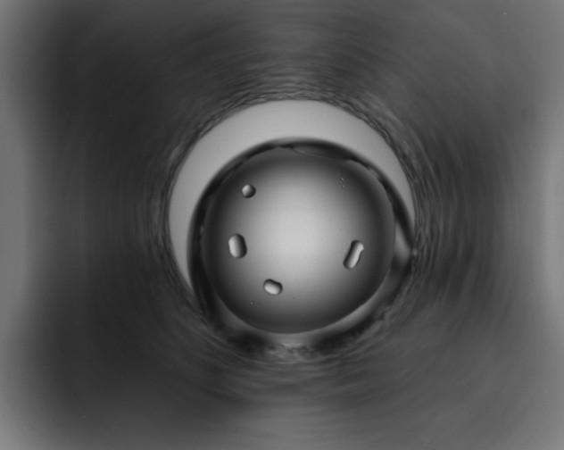 X0000093260516200710031606