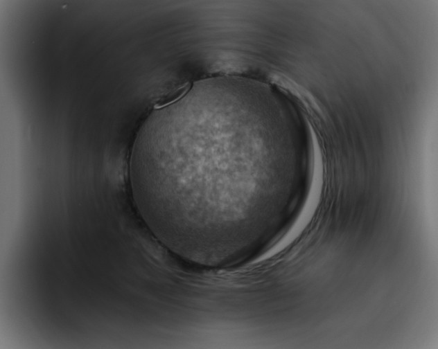 X0000093260517200710031606